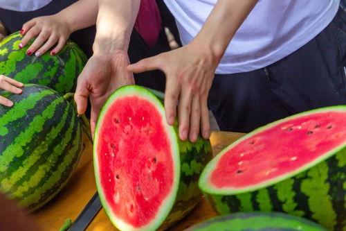 娱乐吃瓜酱喂西瓜  第2张